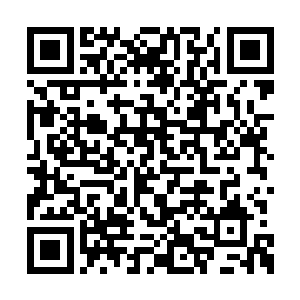 这回知道什么叫终日打雁倒叫雁给啄了眼睛了吧二维码生成