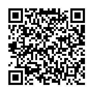 这圣战的严寒与乱流让那原本可以延续的美好过早的凋零了二维码生成