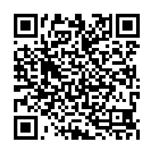 这在以黑紫灰为主色调的鸿蒙界可以说极为罕见二维码生成