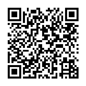 这场比赛没有被放入首发名单的范佩西在脑海中自动将二维码生成