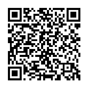 这场飞鸽决斗背后必然是有萧万山的身影和指使二维码生成