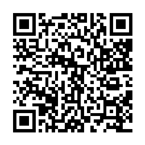 这场骗局到底是怎么回事我也是今天才从欢喜嘴里听到的二维码生成