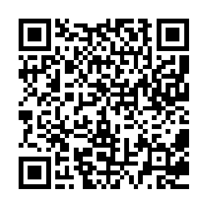 这块绿洲中心灵气的浓郁不亚于一个宗门内的灵气浓郁程度了二维码生成