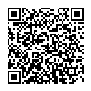 这坚韧的身体上也开始出现一道道如同被利刃切割一般的细小伤痕二维码生成