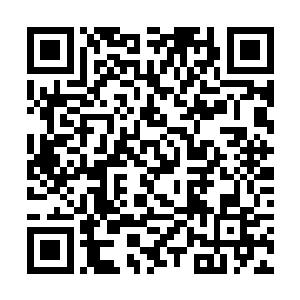 这基本上已经算是把五色巨龙的图书馆打劫个干净了二维码生成