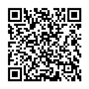 这外盟盟子应该是青云盟之中地位最低等的盟子二维码生成