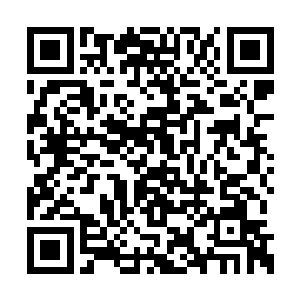 这天地之力凝固可不仅仅代表能抓取更多的仙石二维码生成