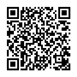 这天大的恩情我们老李家已经是一辈子都无法报答了二维码生成