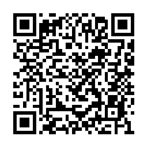 这天玄的地黄刺客部队给我打掉了褚雪林和蓝苋二维码生成