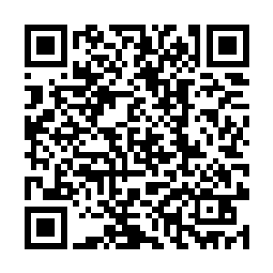 这天魔之主这些年到底吞噬了多少天道世界的天道啊二维码生成
