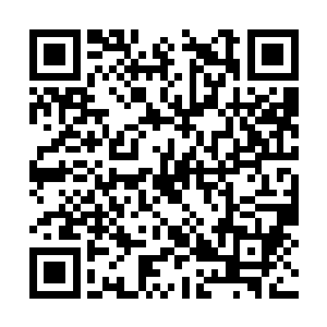 这头强壮无比的家伙终于没办法控制住自己的身体二维码生成