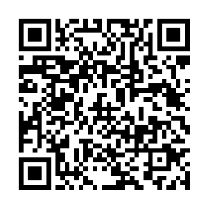 这头鲸龙的另外一只完好的巨眼一下子就扭曲变形二维码生成