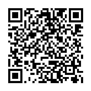 这套理论一级代理商也可以告诉他们的下线……二维码生成