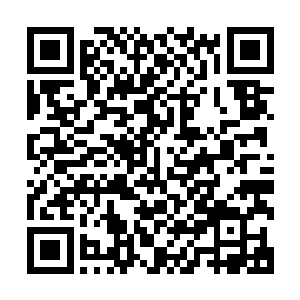 这套豪华别墅的拥有着正是流星城城主的儿子龙华所住的地方二维码生成