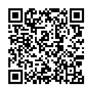 这好像是雅列宾第一次没有拍板儿决定行动具体怎么实行二维码生成