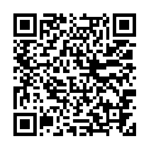 这如何延长桃子的保存时间和自己没有太大关系吧二维码生成