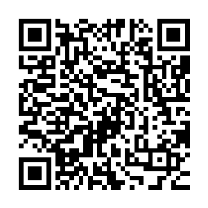 这姑娘就是爱装着玩世不恭的模样分散她那财务人员的严谨形象二维码生成