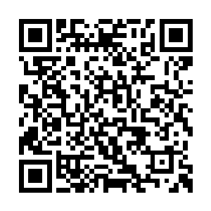 这婴儿身上的力量竟然能够抵挡住那大手的攻击二维码生成