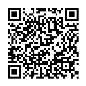 这完全就是当初跟着洛水焉一夜疯狂之后怀上的二维码生成