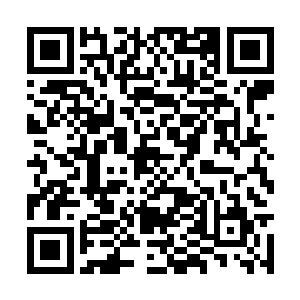 这实在是个好时机……叶限想到了睿亲王谋逆一事二维码生成