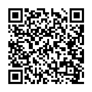 这实验有什么好处……难道夫君本身也为了这星核二维码生成