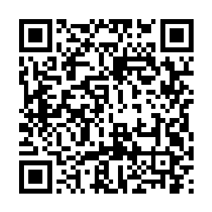 这家伙一口气把地上剩下的六袋垃圾全扛到了肩上二维码生成
