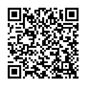 这家伙可是曾经连续击败过好几个赌王的存在啊二维码生成