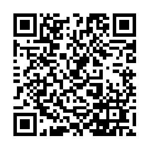 这家伙平时好像跟人之间保持那么一点点距离的感觉二维码生成