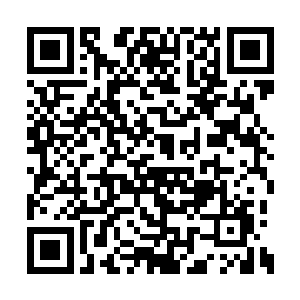 这家伙既然能先你们一步找到熊巨和翟家女娃儿二维码生成