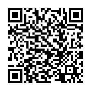 这家伙留下了深刻的心理阴影便是再正常不过的了二维码生成