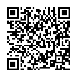 这家伙的生命力和防御力到底强悍到了何等恐怖的地步二维码生成