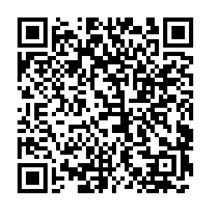 这家伙竟然在攻击完韩岛网络之后便用假身份订购了到华夏的机票二维码生成