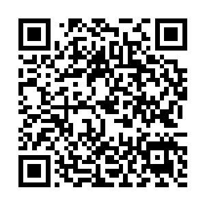 这家伙简直就像是率领群臣巡视自己领地的帝王一样二维码生成