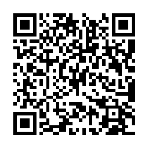 这家伙难道完全不在乎黑龙身上的那些重要部件吗二维码生成