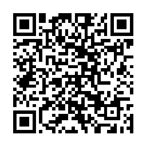 这对一个一月也挣不到一百文的农民来说是巨款了二维码生成