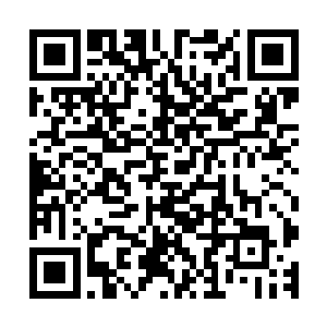 这对于正加快往米兰转移的叶莲娜绝对是一个非常不好的消息二维码生成