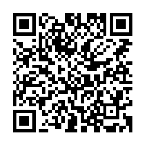 这对于那些支付不起高昂演技学院费用的演员们可是一个好消息二维码生成