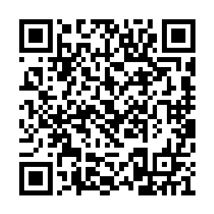 这将自己曾经遗骸化做力量本源收为己用的法子二维码生成