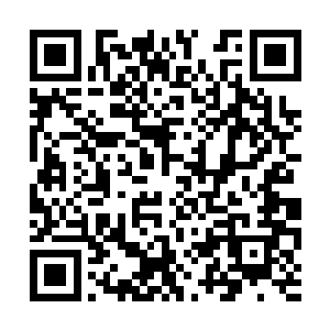 这小子前一天晚上刚吃了我三五百块的砂锅骨头煲二维码生成