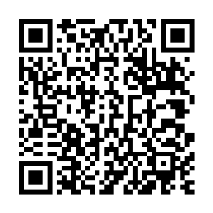 这小子居然能请动魔教光明右使向问天和华山实际掌门宁中则二维码生成