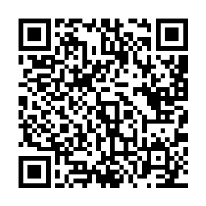 这小子扶着船舷伸着脑袋望着海面下的一道道浅红色的影子二维码生成