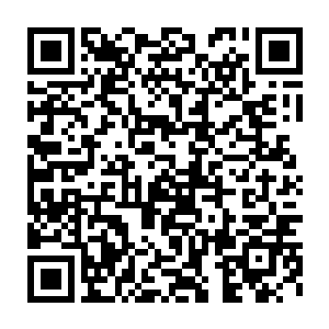 这小子的身躯就扎根在那花坛之中了……估计那一张脸俊逸的脸庞二维码生成