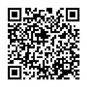 这小子竟然公然在这里面对着我们向校花流年表白二维码生成