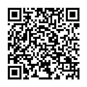 这小孩儿站她旁边盯着她手里的擀面杖瞅半天儿了二维码生成