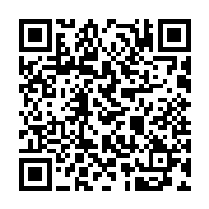 这小爱的性格还真的跟自己的其他女人都不尽相同二维码生成