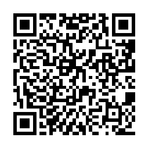 这小狐狸到底是怎么从爱丽丝身上分割出来的呢二维码生成
