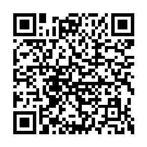 这少女旁边的其他几个美丽少女也都是目光一转二维码生成