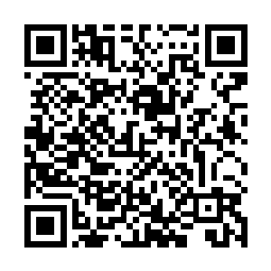这就使得原本留在通天塔内的众多修士纷纷离开通天塔二维码生成