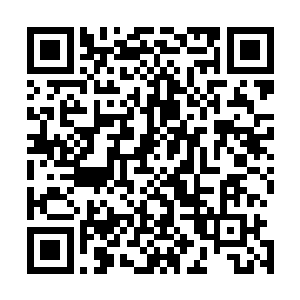 这就好比一个小姑娘在几岁的时候便能够看出是个美人坯子二维码生成