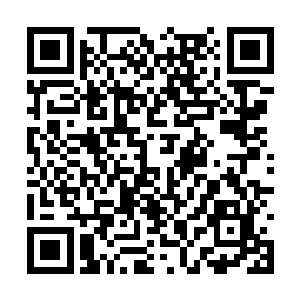 这就导致了绝大多数的血族虽然拥有强大的战斗力二维码生成